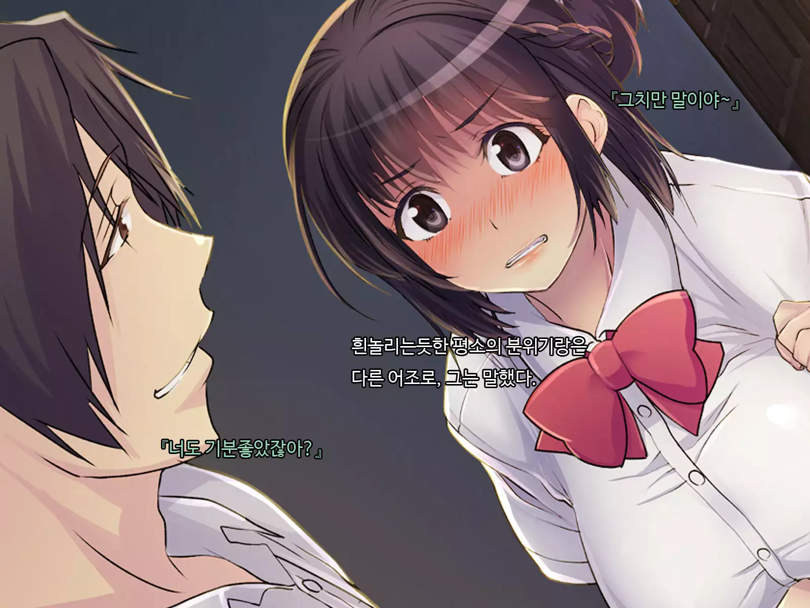 ani sex > otouto sex