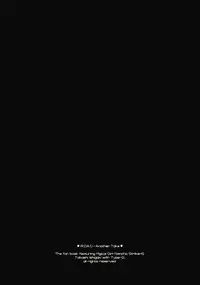 (C74) [Type-G (Ishigaki Takashi)] RDAD - Another Take (Mahou Shoujo Lyrical Nanoha StrikerS)