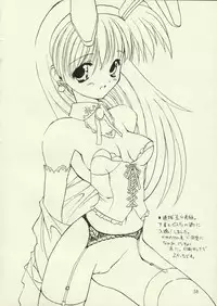 [Chokudoukan (Hormone Koijirou, Marcy Dog)] Sokkyuuou 2000