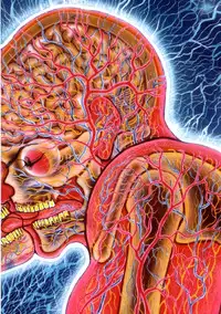 [Keisuke Itagaki] Grappler Baki SAGA (The Romantic Contact chapter) [JAP]