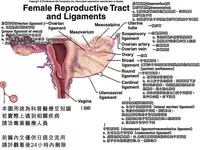 [Ishino Kanon] Jewel Knight rubyel ~Shikyuu Goumon Kyuuin Nejiri Seme~ (2D Comic Magazine - Shikyuudatsu Heroine ni Nakadashi Houdai! Vol. 1) [Chinese] [飲鴆止渴漢化] [Digital]