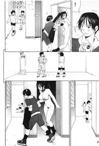 [Trochilidae] fighting queen 3 [Chiense]