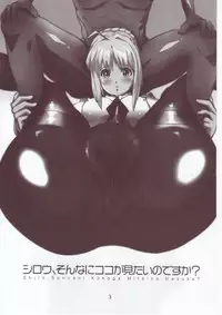 (C73) [Yami ni Ugomeku (Dokurosan)] Shiro, Sonnani Kokoga Mitaino Desuka? (Fate/stay night) [English]
