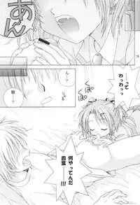 (SC16) [MIKI HOUSE (Miki Meguri)] Imouto Shoukougun | Sister Syndrome (Sister Princess)