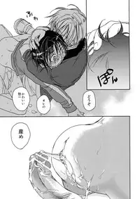 [CROCODILE-Ave. (Gangstar Yoshio)] MegaGra kuma Sakana (Gravitation)