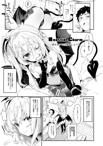 Boku wa Chiisana Succubus no Shimobe Soushuuhen