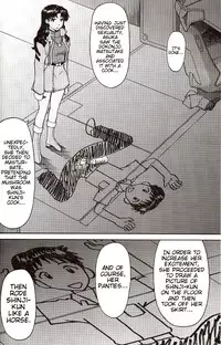 (C71) [TENGU NO TSUZURA (Kuro Tengu)] A Wild Fancy (Neon Genesis Evangelion) [English] [Trinity Translations]