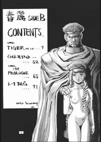 [METAL, Studio Tapa Tapa (Sengoku-kun)] Chun-Li Side B (Street Fighter)