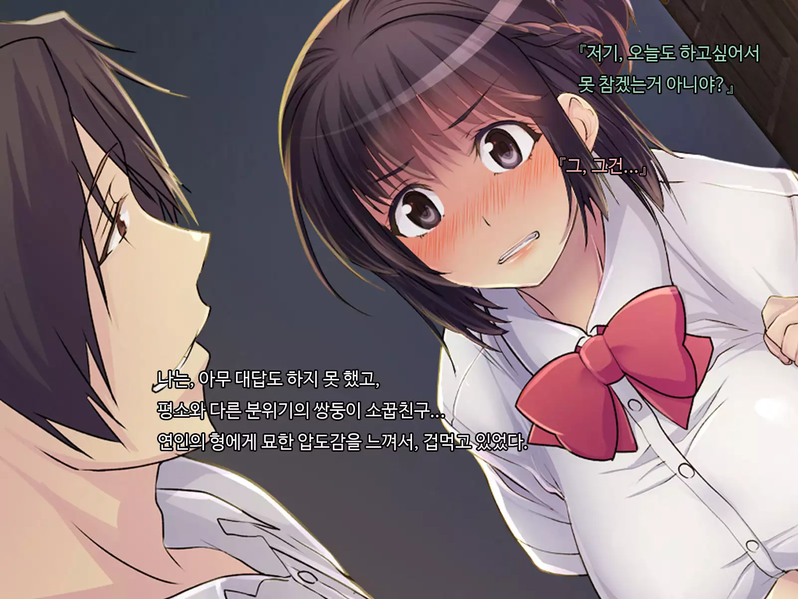 ani sex > otouto sex