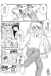 [Tenny Le Tai] Silky Moon (Sailormoon)