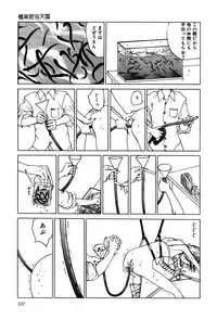 [Kago Shintarou] Dekoboko Nymphomania - Slapstick Nympho Mania (1995)