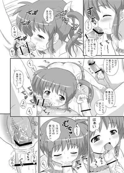 Nanoha-chan Kouhou Senden Taichou Soushuuhen Hon