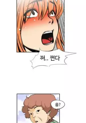 Chauffeur Service Ch.1-30.5