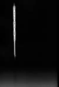 (CR31) [Piggstar (Nagoya Shachihachi)] DISASTER GUN PARADE MARCH (Gunparade March)