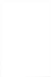 (Aka no Hiroba 4) [Raiden Labo (Raiden)] Kouhaku Jiru Kassen (Touhou Project)