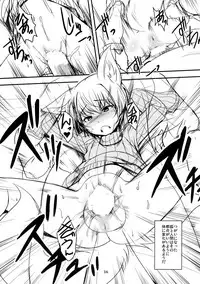 (C91) [Tanmatsu Ijou (BadHand)] Byakko no Mori Sono Juu