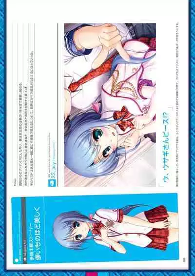 Daitoshokan no Hitsujikai Visual Fan Book Houkago Shippo Days & Dreaming Sheep Visual Fan Book