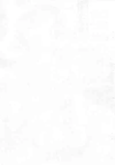 Koko dake no Hanashi