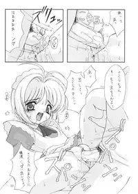 (C58) [Chokudoukan (Marcy Dog, Hormone Koijirou)] Please Teach Me 3. (Cardcaptor Sakura) [Decensored]