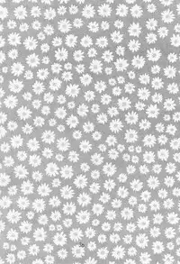 (C55) [Piyokoya (Kobayashi Hiyoko)] Cherry Girls Preparation (Card Captor Sakura)