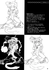 (C81) [Narumiya (Narumiya)] Tama Tama Shippo (Touhou Project) [English] [biribiri]