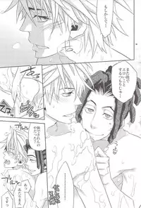 (C81) [Crazy9 (Ichitaka)] Ofuro de! Wanko Tomushizu no Hon (Durarara!!)