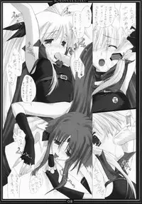 (COMIC1☆01) [Moehina Kagaku (Hinamatsuri Touko)] St. Lily's Day 02 (Mahou Shoujo Lyrical Nanoha)