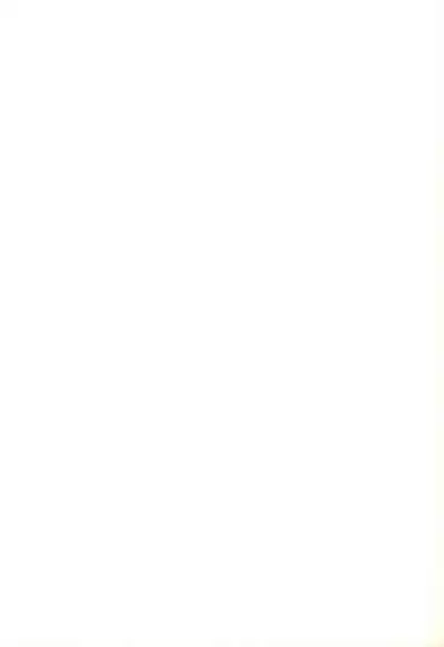 (C64) [Oden-ya (Misooden)] LIKE 8 Imouto