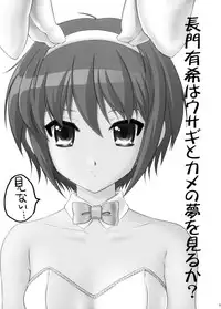 (C71) [U.R.C (Momoya Show-Neko)] Nagato Yuki wa Usagi to Kame no Yume o Miru ka? (Suzumiya Haruhi no Yuuutsu)