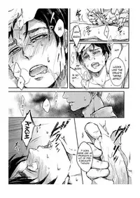 (Hekigai Chousa Haku 2) [Yaoya, Samoimon (Tometo, Samoimo)] Shinen no Kyouken | Mad Dog of the Abyss (Shingeki no Kyojin) [English] [Moy Moe Scans]