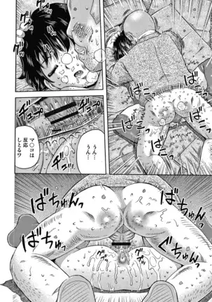 Bishoujo Koushuu Nikubenki