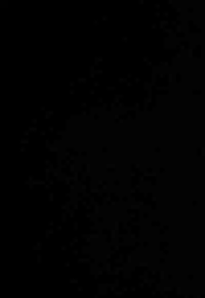 (C104) [Hitsuji Kikaku (Muneshiro)] Imouto wa Mesu Orc 7