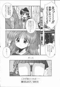 [Kamogawa Tanuki] ELEMENTS