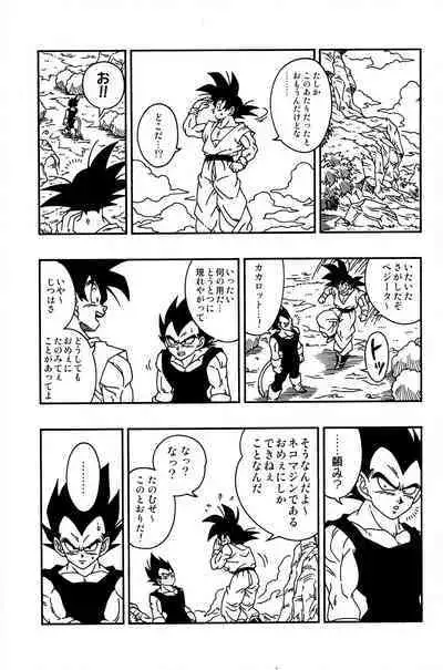 Dragonball Fan Book SPECIAL