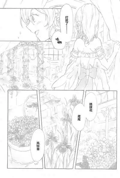 (Bokura no Love Live! 14) [Sakurayasiki (Mizubonbori)] side: (Love Live!) [Chinese] [透明声彩汉化组]