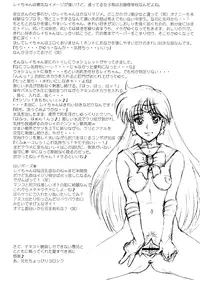 (C68) [Niku Ringo (Kakugari Kyoudai)] Nippon Mokusei (Sailor Moon) [English] [desudesu]