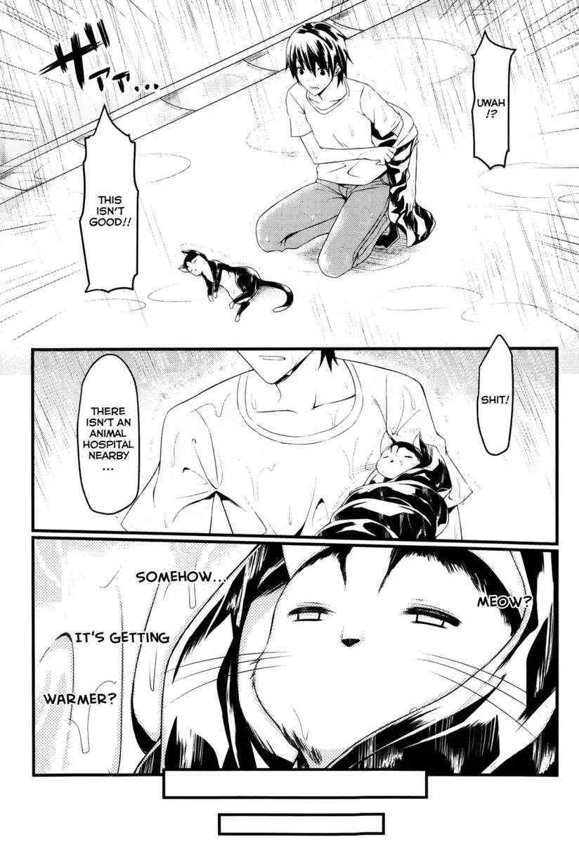 CatWoooman: The Story of a Cat and You