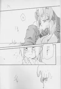 [MIX*SCRAMBLE (Kasuga Yume)] TRUE SECRET (Fullmetal Alchemist)