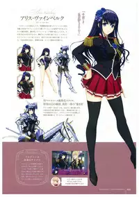 Walkure Romanze More & More Visual Fan Book