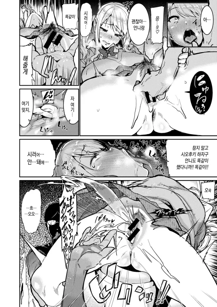 Onee-chan wa! Suki! - Sisters' Sex Show | 언니는! 좋아!