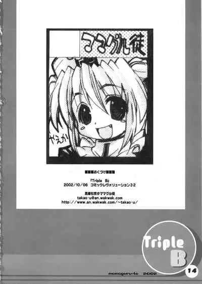 BRIDGET BUBBLES BELIEVE Triple B