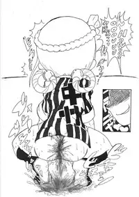 [Nihon ja Nibanme da!] Yamakasakko Doremi (2005～2009)