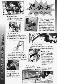 [Matra Milan] Kitty Mint