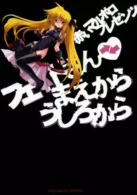 (C73) [Akai Marlboro (Aka Marl)] Fate-san ga Mae kara Ushiro kara (Mahou Shoujo Lyrical Nanoha)