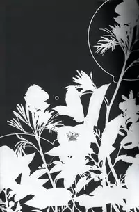 [Banyu (Aoi Rebin)] Shindan Kekka Koiwazurai | Love Sickness Diagnostic Results (Katekyoo Hitman REBORN!) [English] {Demico Luce}