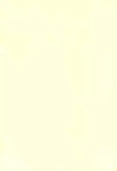 Totsuzen Seifuku Shougakusei ni Yasashiku Moteasobarechatta Boku.