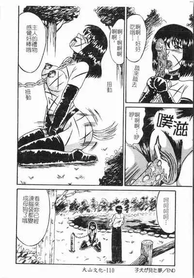 Fallen love at night