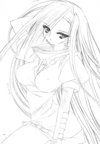 (CR33) [D.N.A.Lab. (Miyasu Risa)] Tonkatsu Agesugi Jiken (Guilty Gear XX)