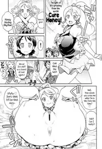 (C86) [Funi Funi Lab (Tamagoro)] Chibikko Bitch Full charge (HappinessCharge Precure!) [English] {5 a.m.}