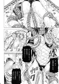 (C90) [Yokohama Junky (Makari Tohru)] Solo Hunter-tachi no Seitai (Monster Hunter)